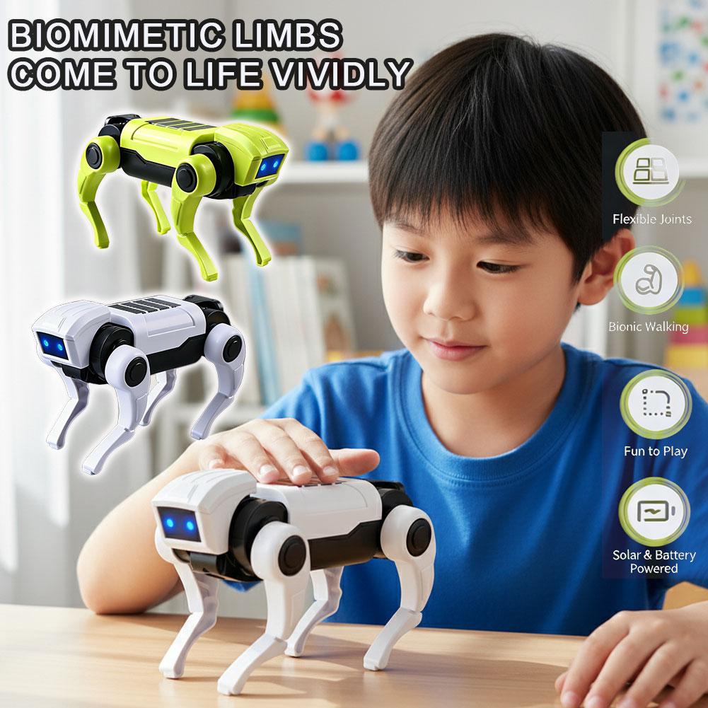 Science Toys Diy - Mainan Anjing Robot RC Perakitan DIY